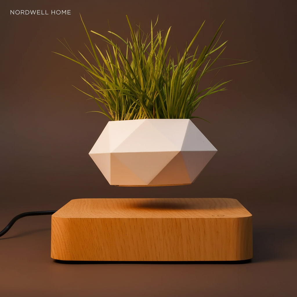 Levitating Planter — Magnetic Floating Pot