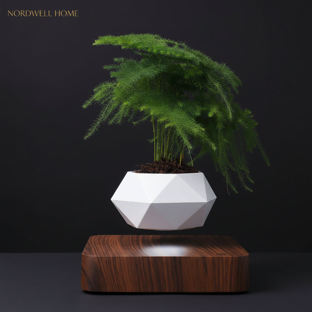 Levitating Planter — Magnetic Floating Pot
